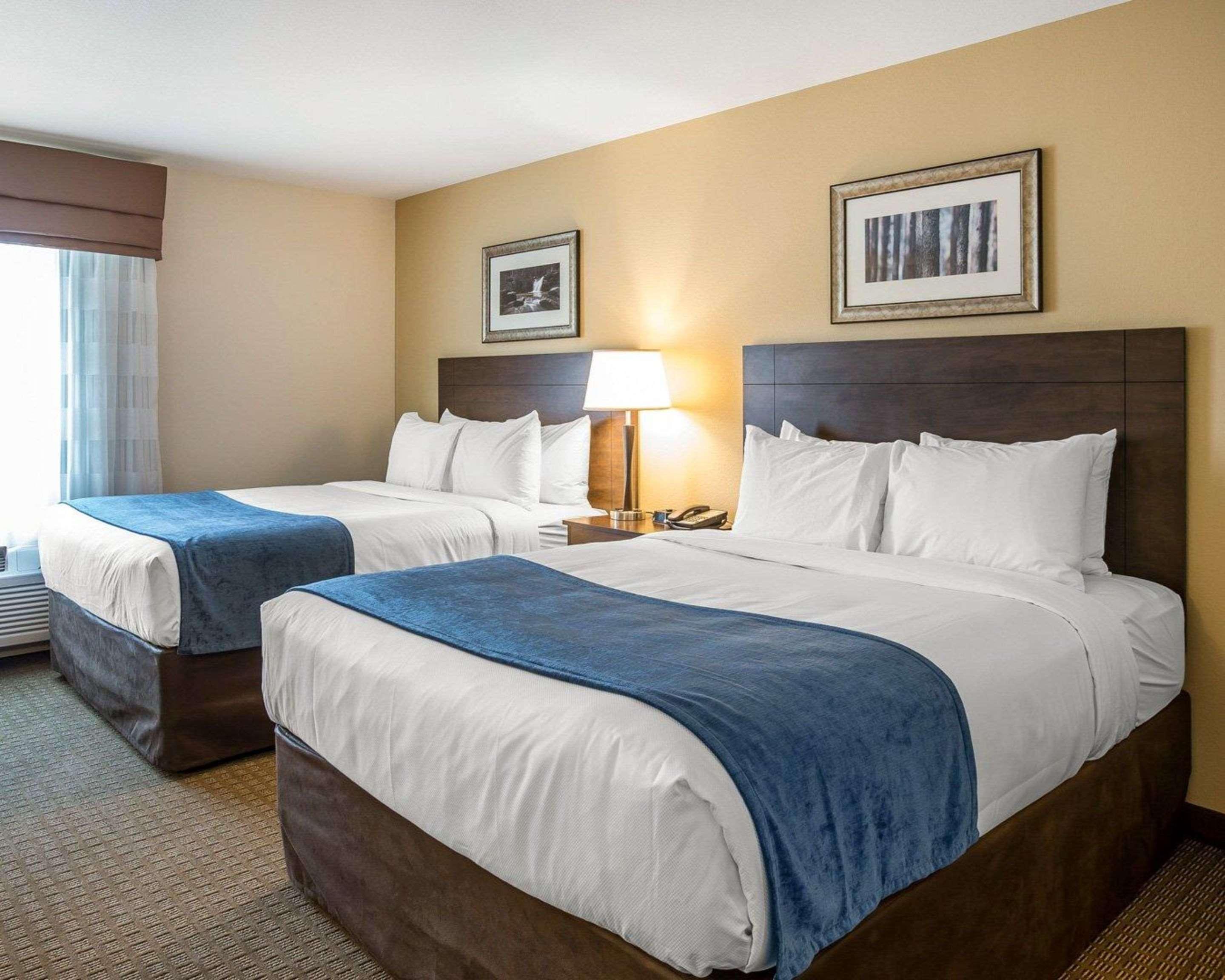 Efficiency, Suite, 2 Queen Beds