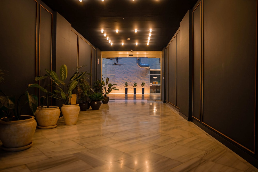 LETOH LETOH Sevilla 24/49