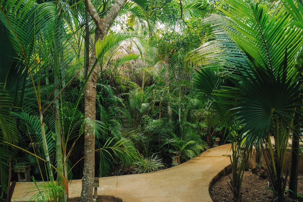 Aldea Coba an Escape Resort 59/63