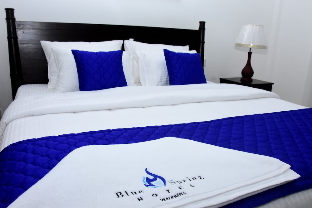 Blue Spring Hotel 15/38