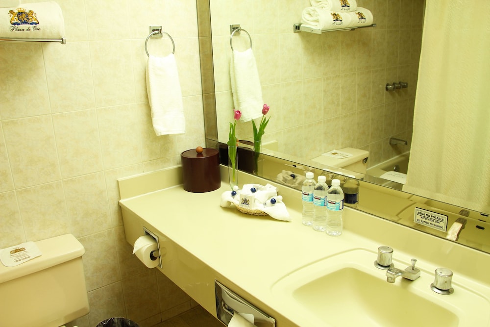 Hotel Plaza de Oro 40/43