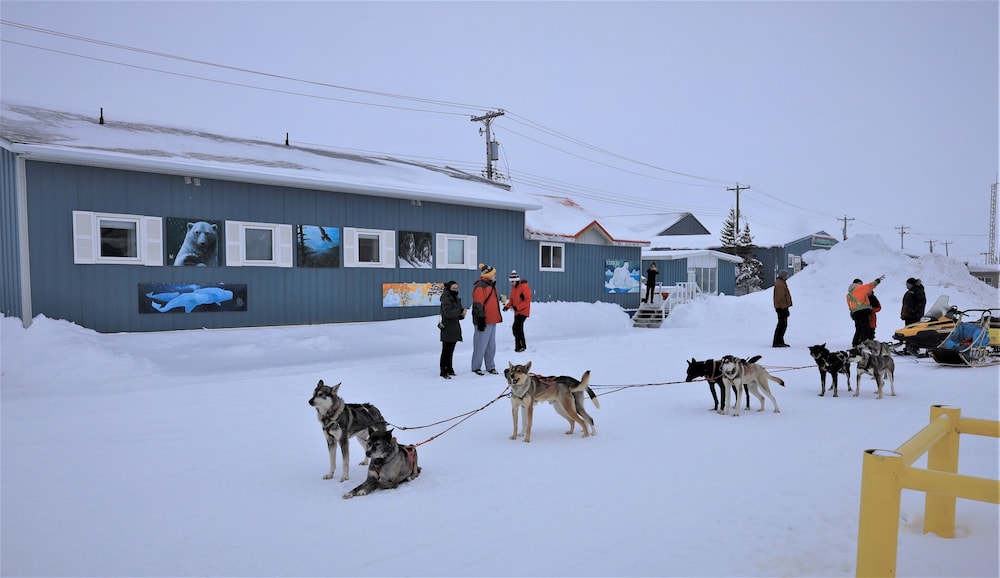 IceBerg Inn 1/25