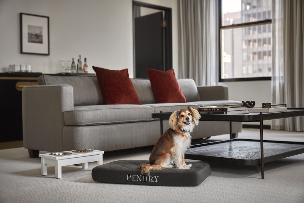Pendry Chicago 43/76
