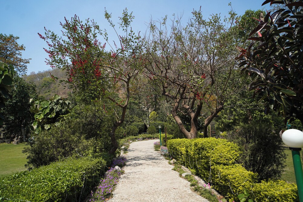 The Solluna Resort Corbett 67/69