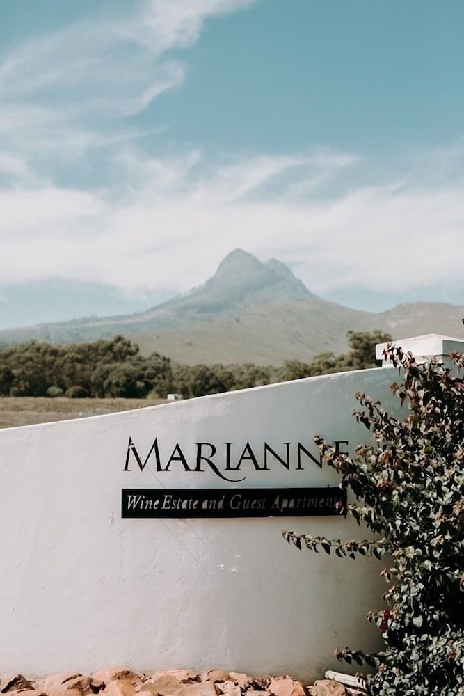 Marianne Wine Estate 2/60