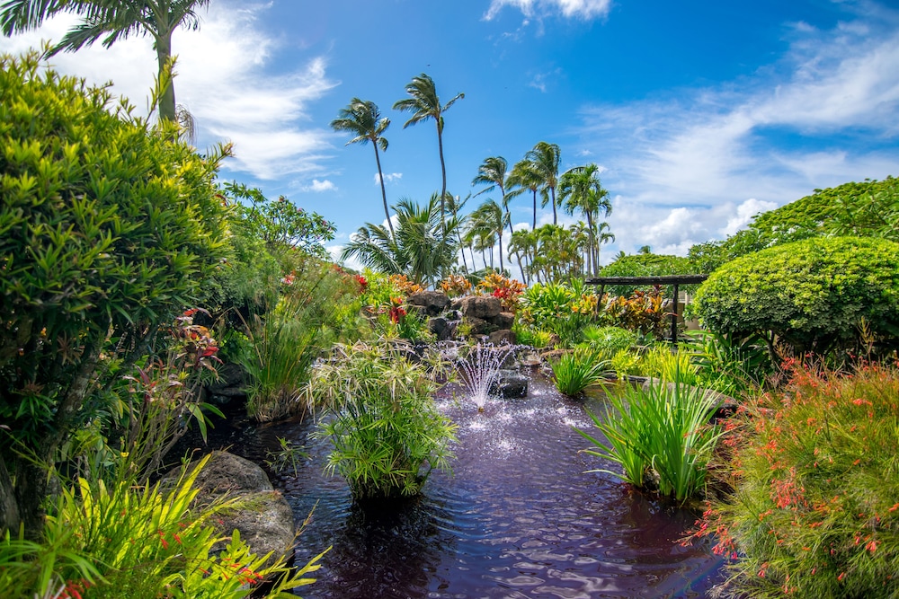 Napili Shores Maui by Outrigger 34/50