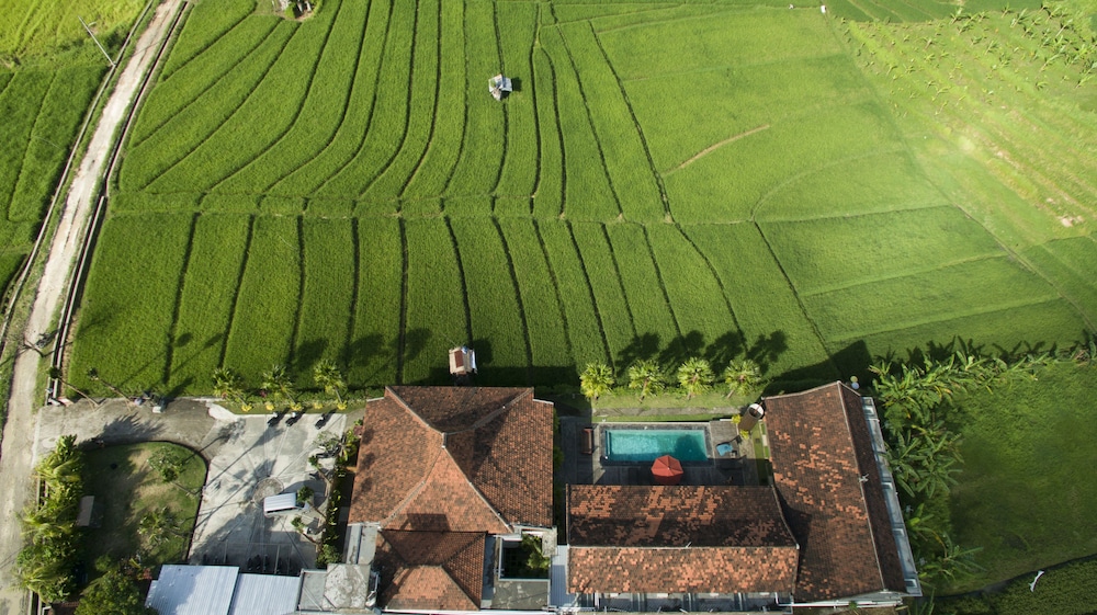 Kampung Canggu 43/50