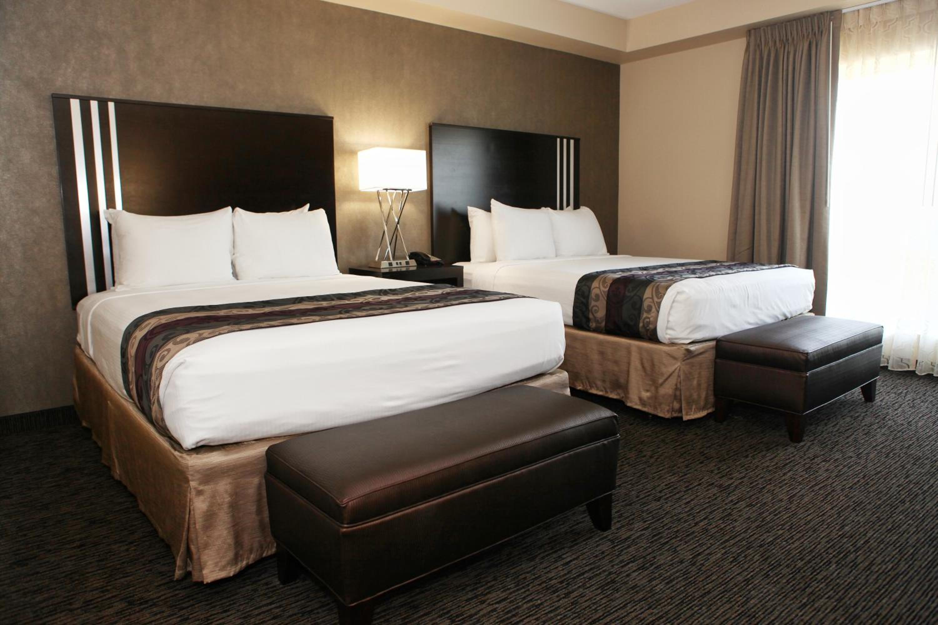 Legacy, 2 Rooms, Suite