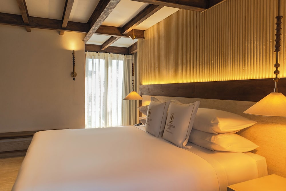 Hotel Palacio del Agua by Faranda Boutique 13/69