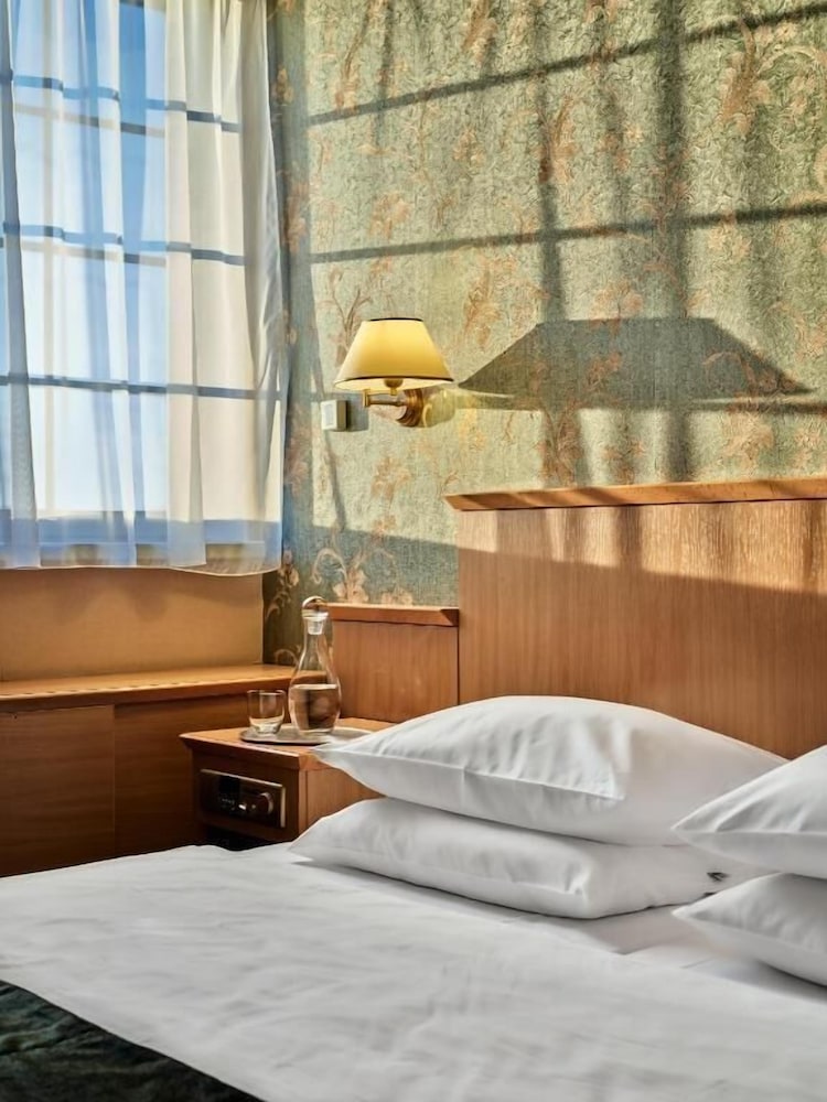 Witek Hotel 18/50