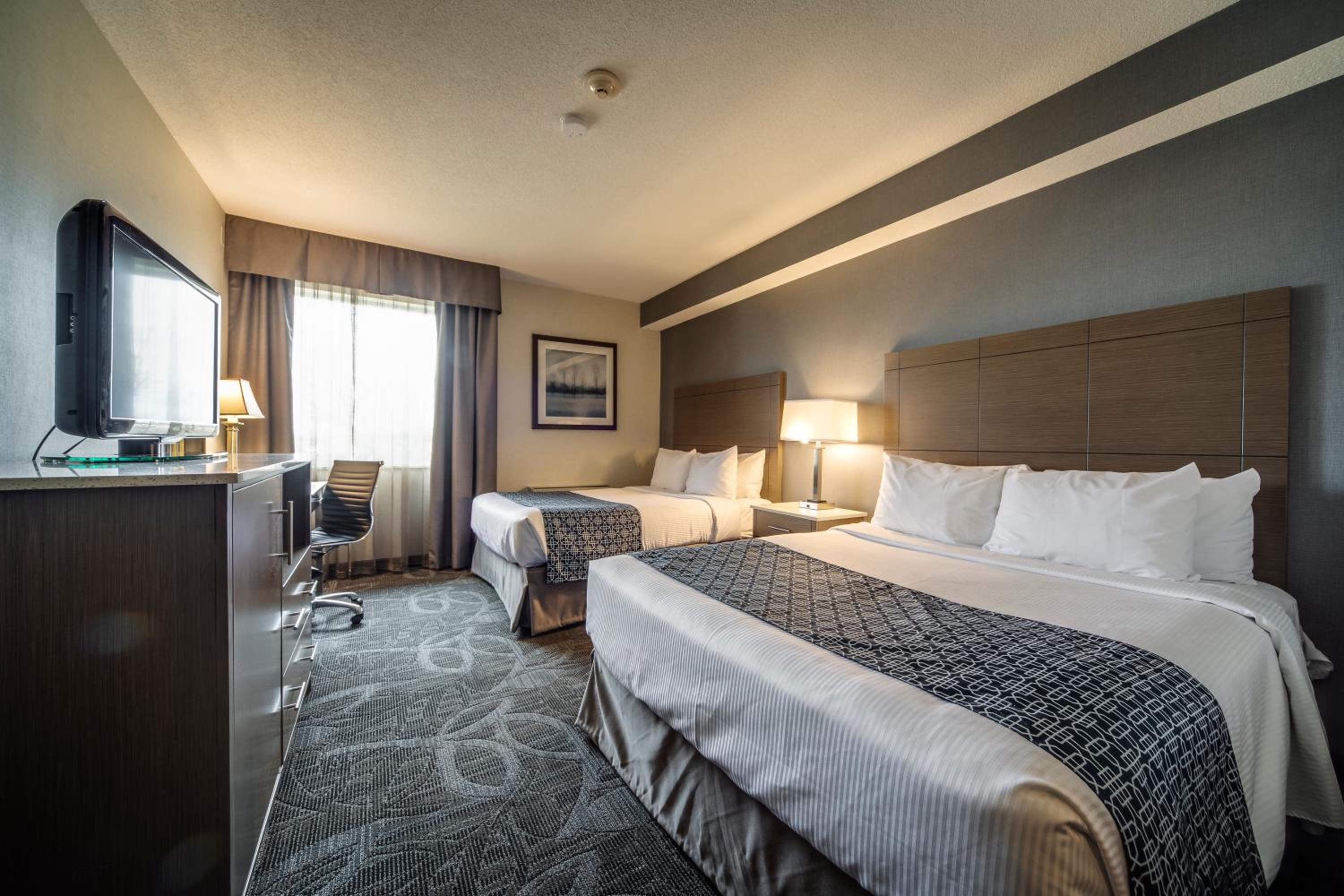 Standard, King Bed, 2 Queen Beds