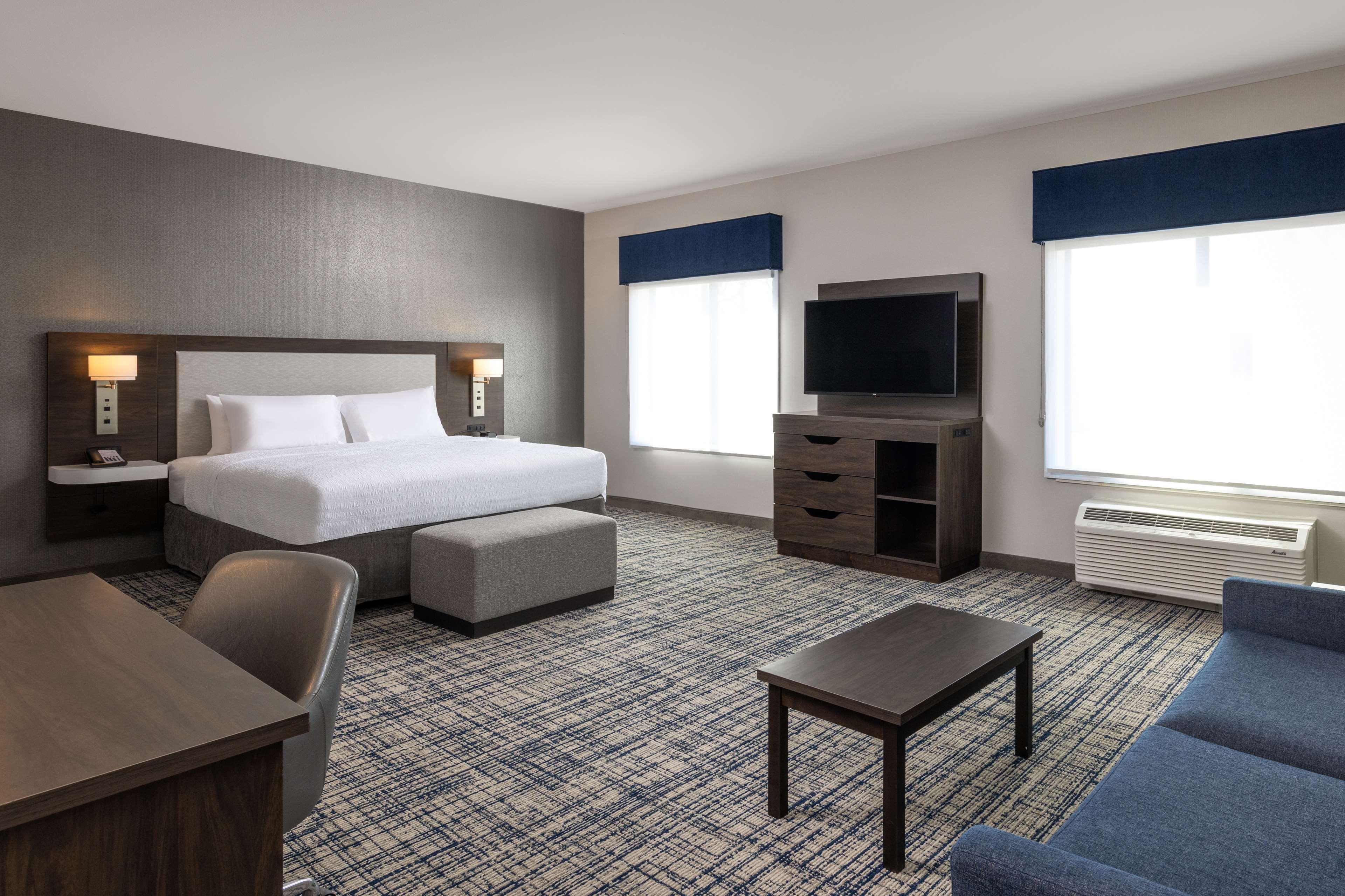 Suite, King Bed