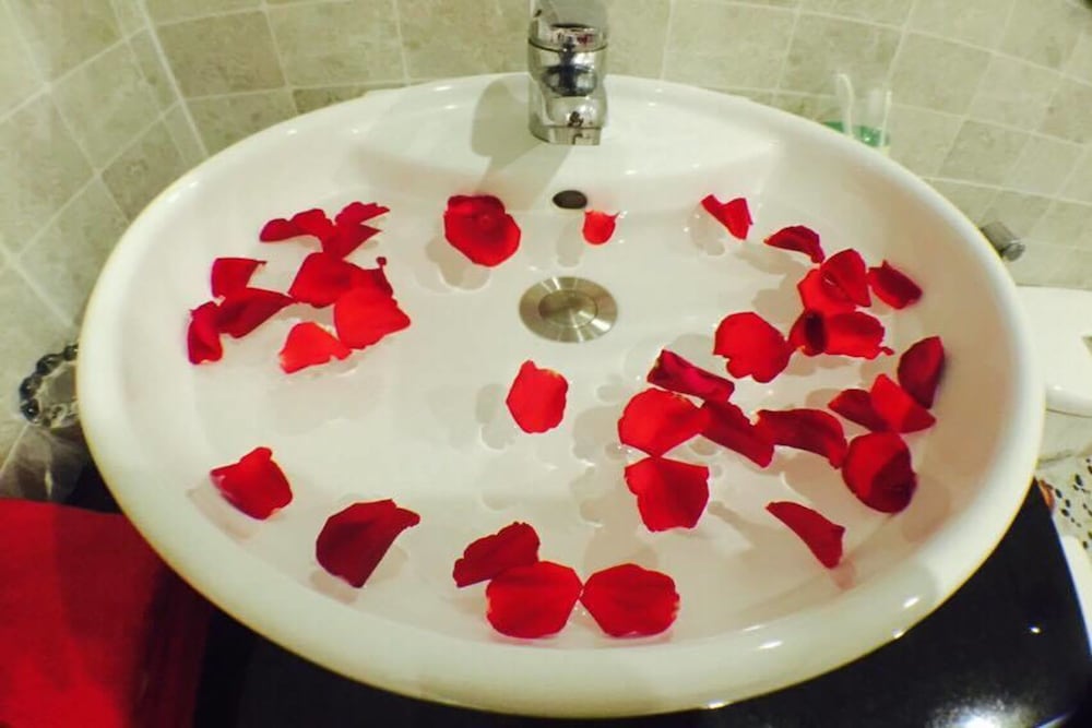 Coconut花园Homestay Hoi An酒店(Coconut Garden Homestay Hoi An) 图片4