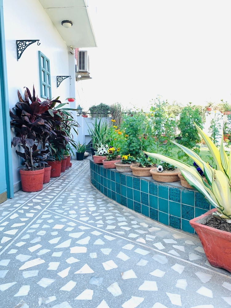 Hotel Vandana S Bed And Breakfast 42/50