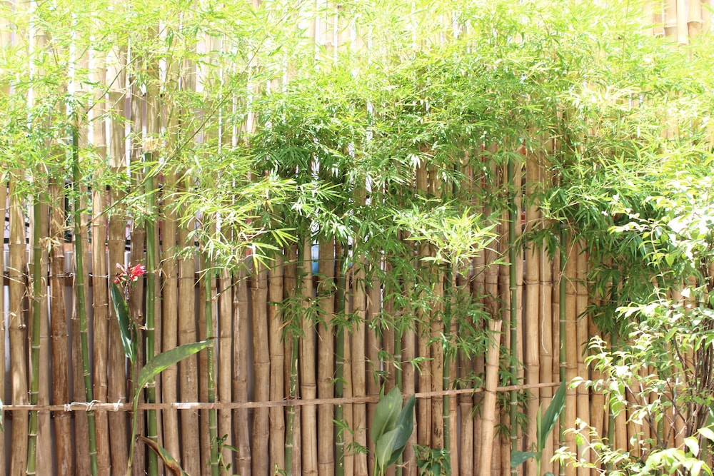 House Boutique Eco Hotel 61/69