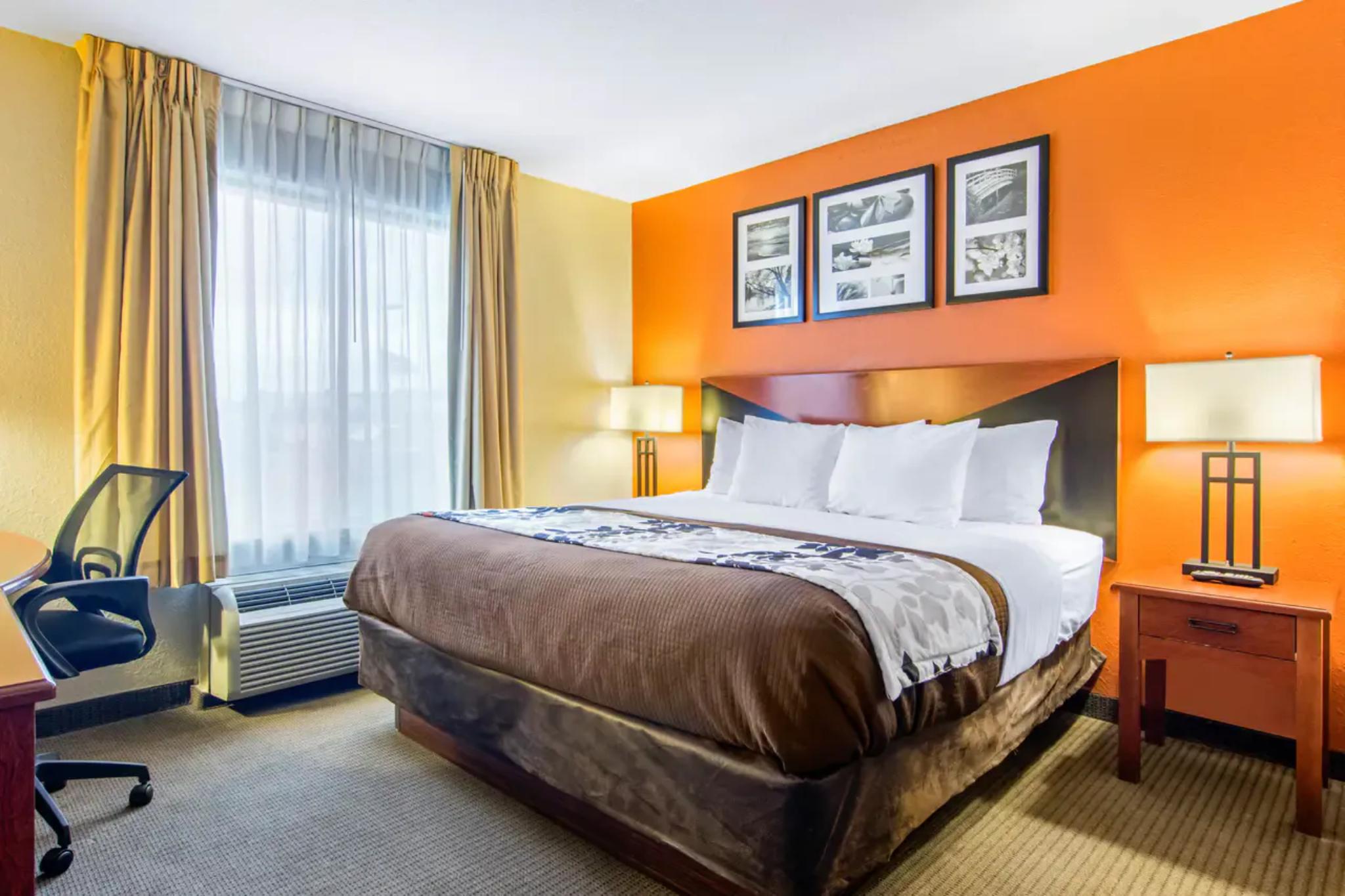 Upgrade, Suite, King Bed