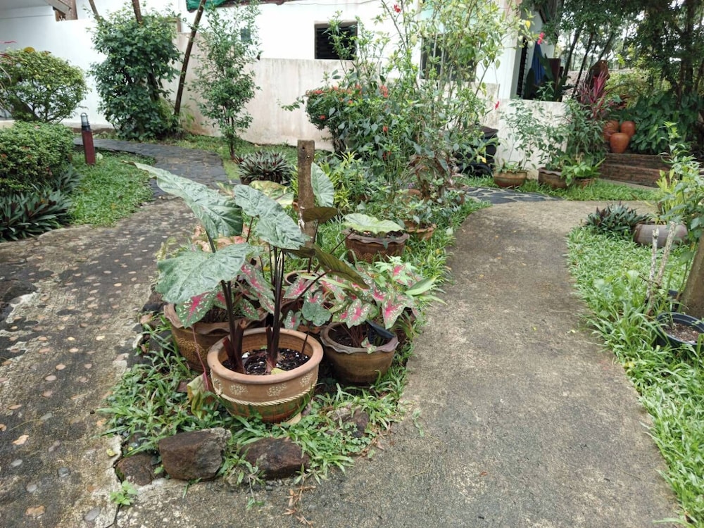 Faye Orchid Resort 31/50