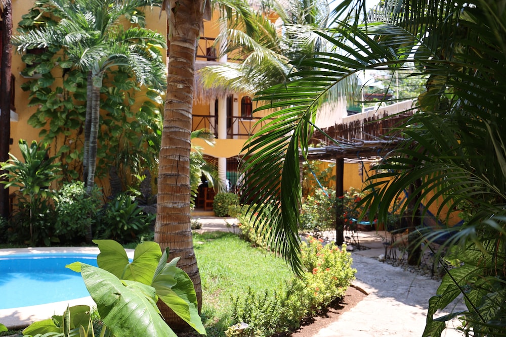 Playalingua Del Caribe 35/50