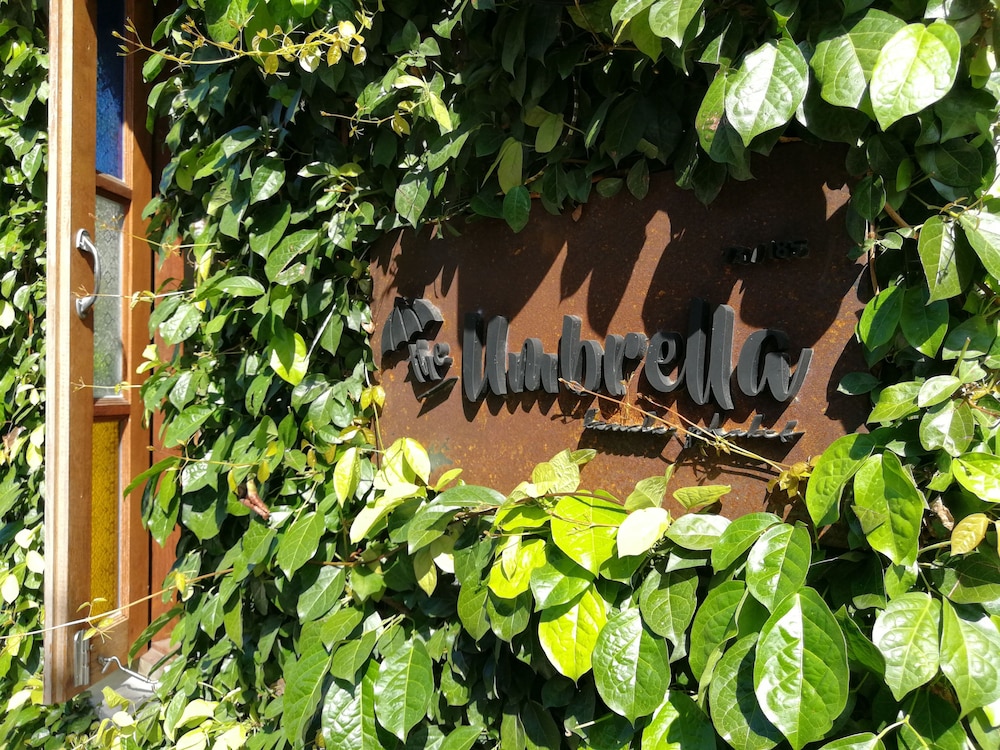 The Umbrella House 26/30