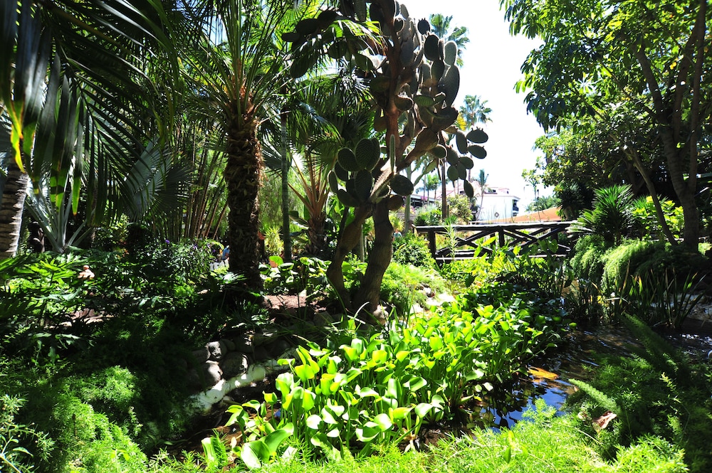 Parque Tropical Hotel 51/66