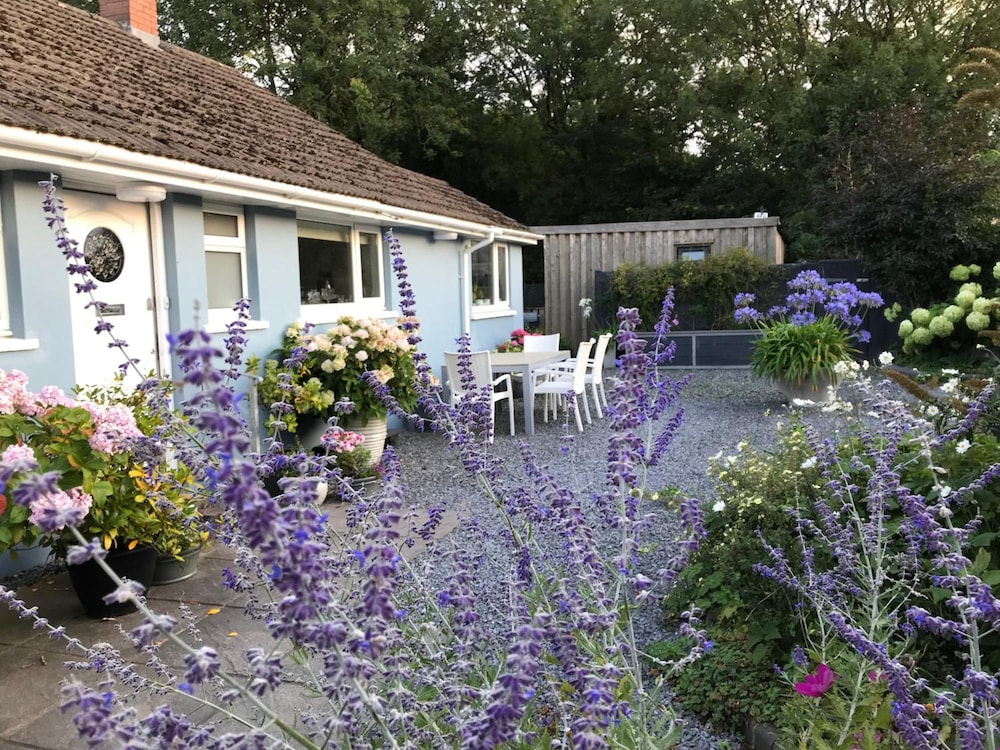 Gower View Luxury Bed & Breakfast 25/39