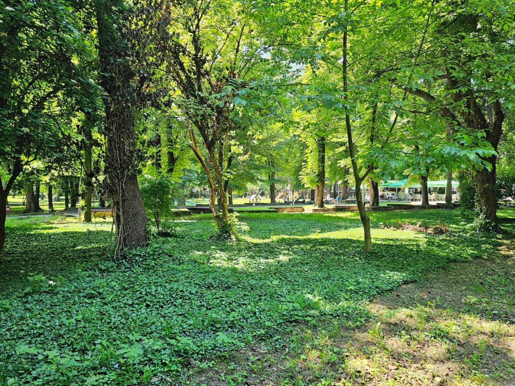 Park Hotel Gardenia 43/43
