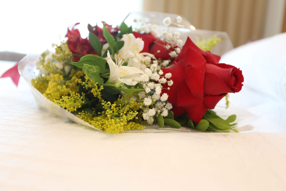 Bourbon Joinville Convention Hotel 35/64