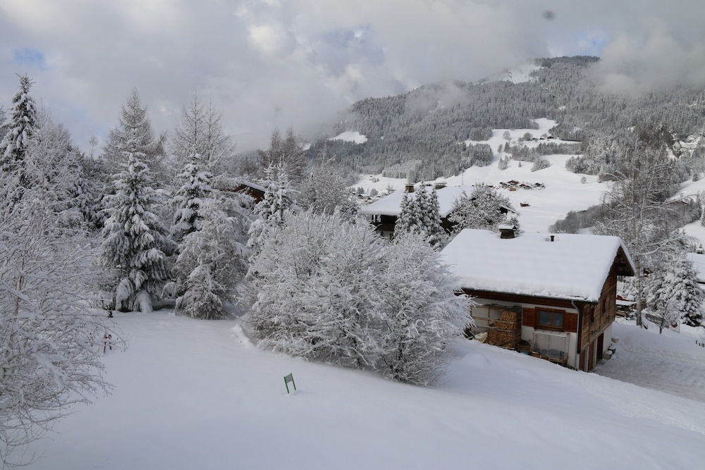 La Residence de L Ours 33/42