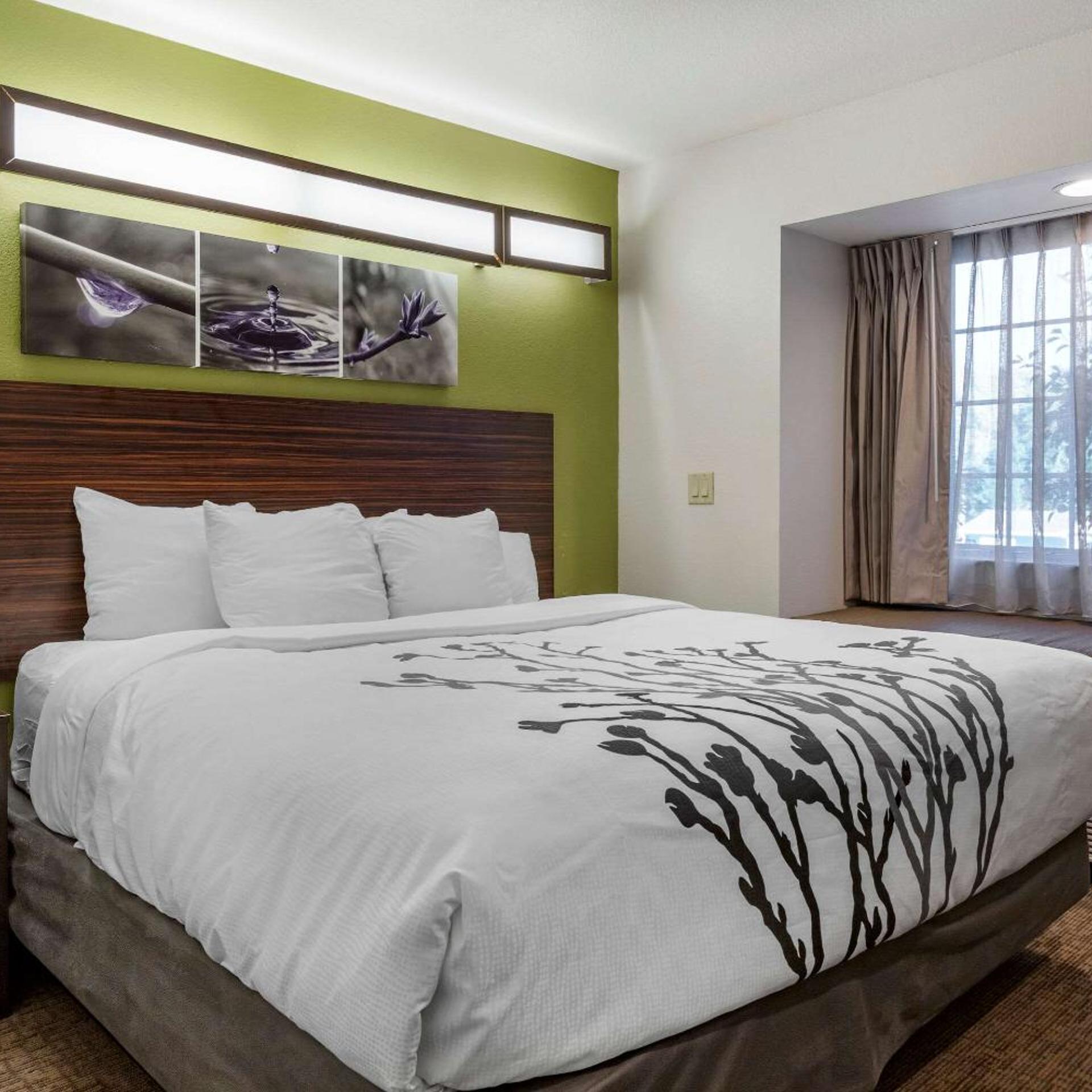 Efficiency, Superior, Suite, King Bed
