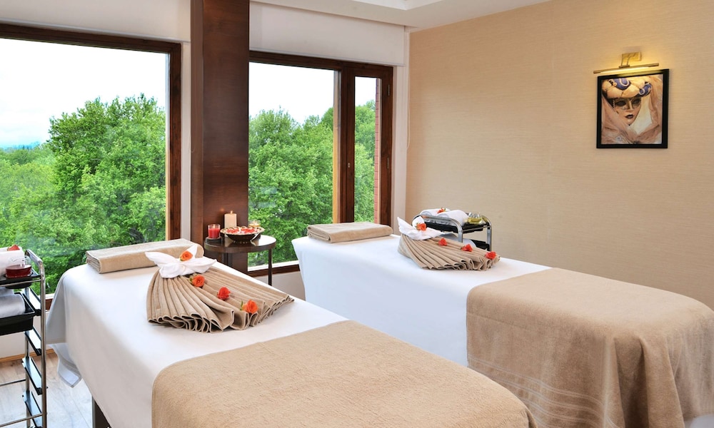 Golden Tulip Srinagar 22/48