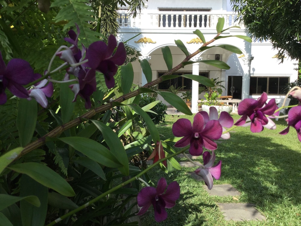White Elephant Resort 37/43