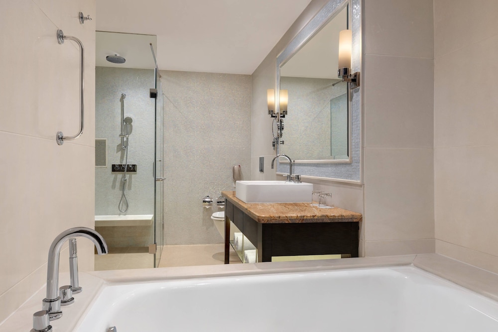 Goa Marriott Resort and Spa 12/47