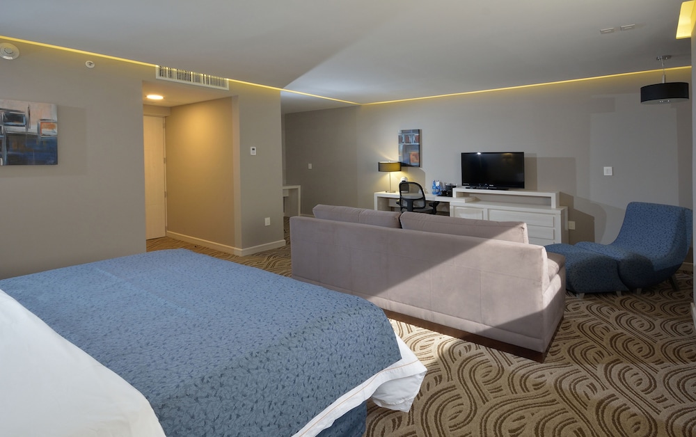 Holiday Inn Express Pachuca 13/57