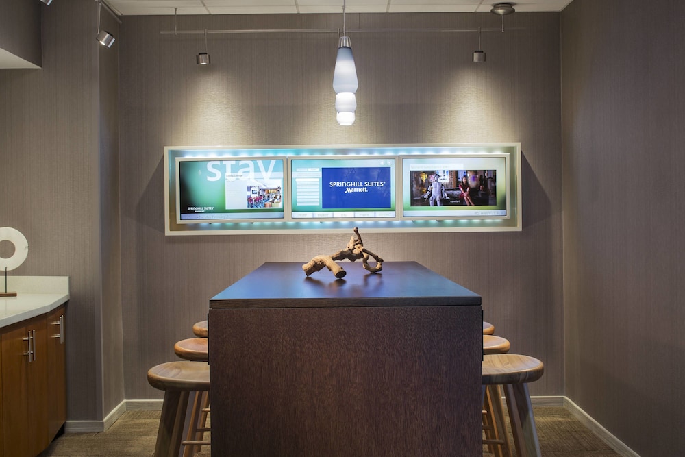 SpringHill Suites by Marriott Chicago Lincolnshire 17/33