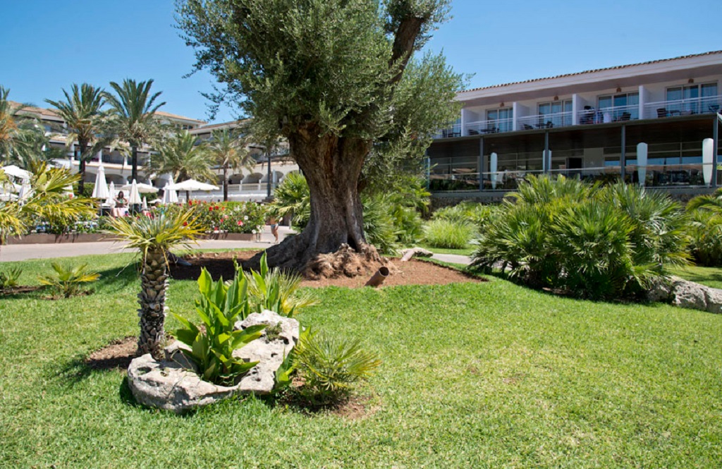 Beach Club Font de Sa Cala 24/27