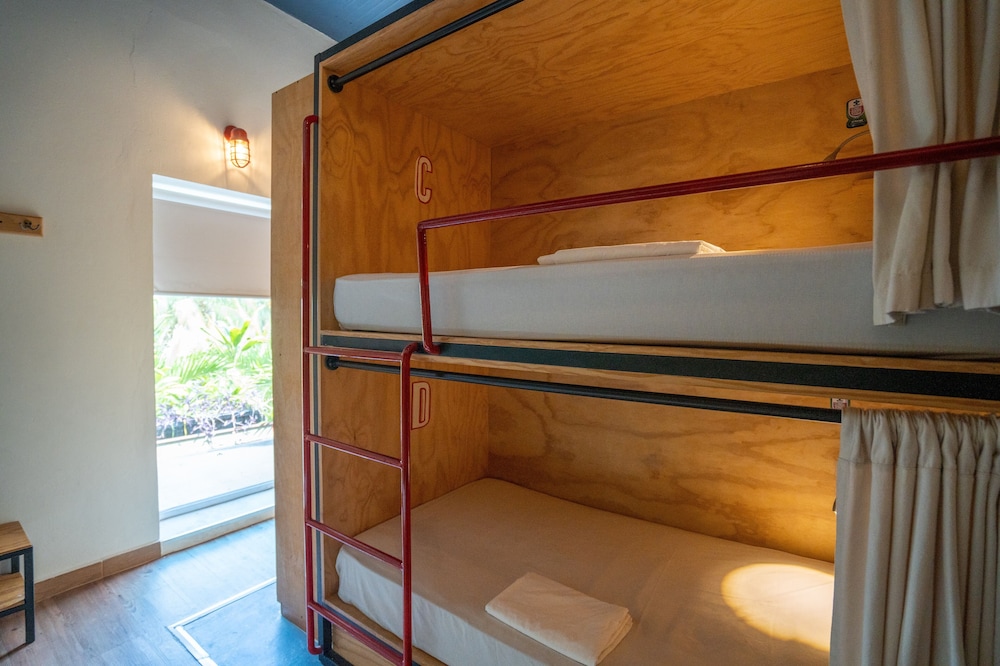 MIXED DORM, 12 BEDS