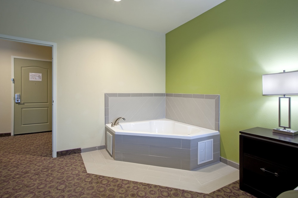 Holiday Inn Express & Suites Clemson - Univ Area 30/82