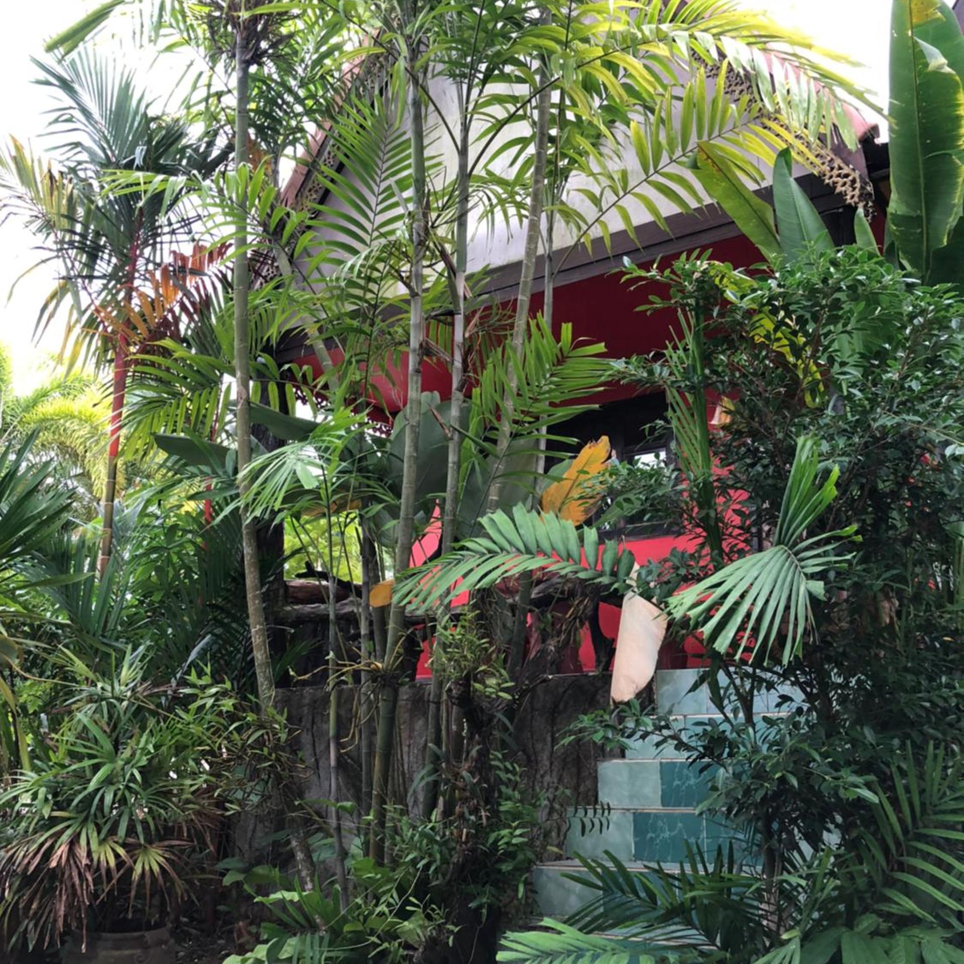 Ruan Mai Sang Ngam Resort 42/47