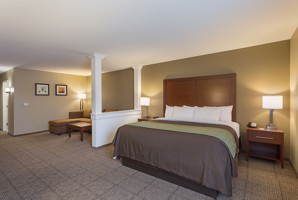 Comfort Inn & Suites Zachary, LA 9/41