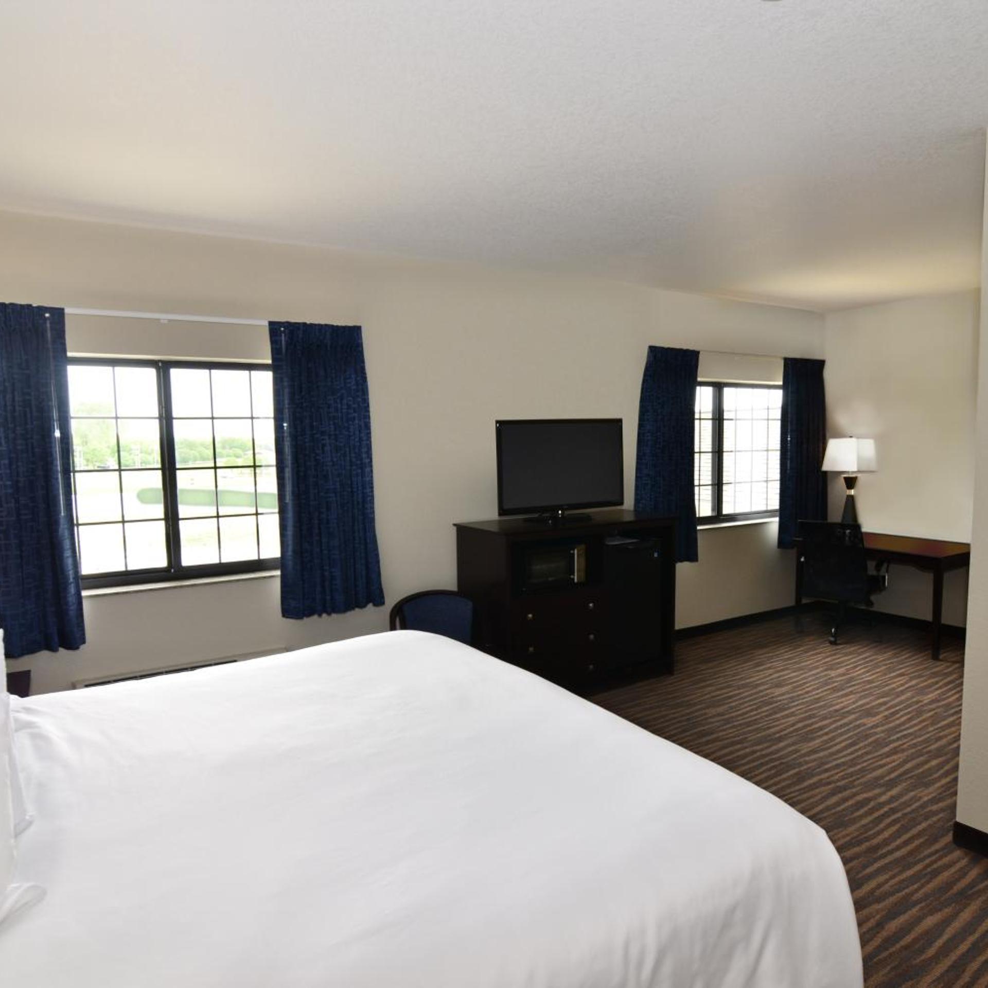 Deluxe, Suite, King Bed