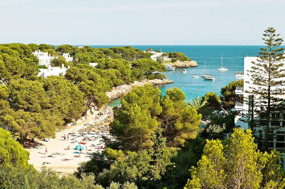 Sentido Fido Tucan - Adults Only 43/50