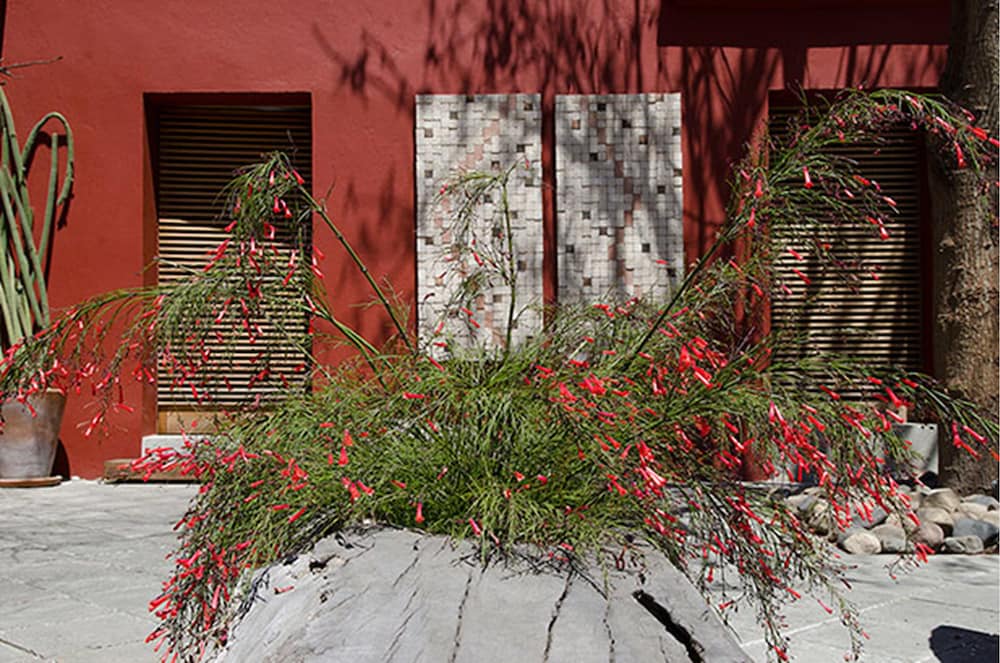 La Casona De Tita Oaxaca 3/50