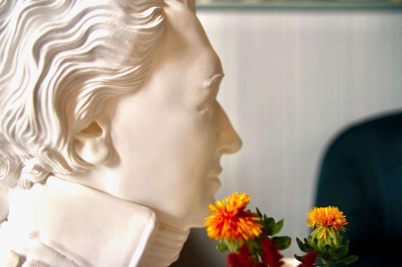 AMADEUS HOTEL 8/40