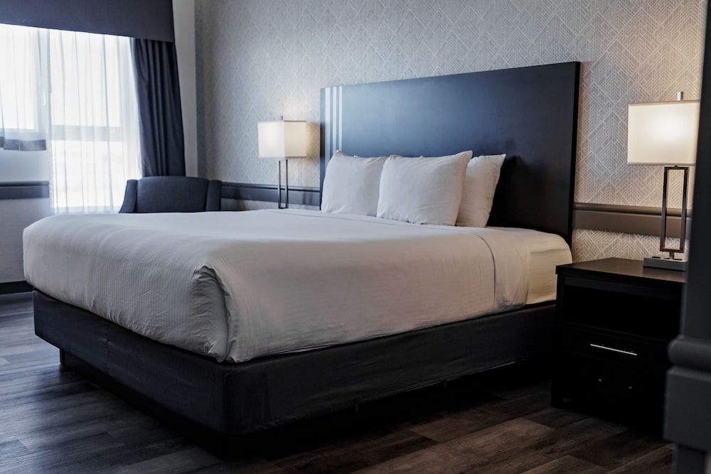 Park Inn By Radisson Edmonton Airport 25/60