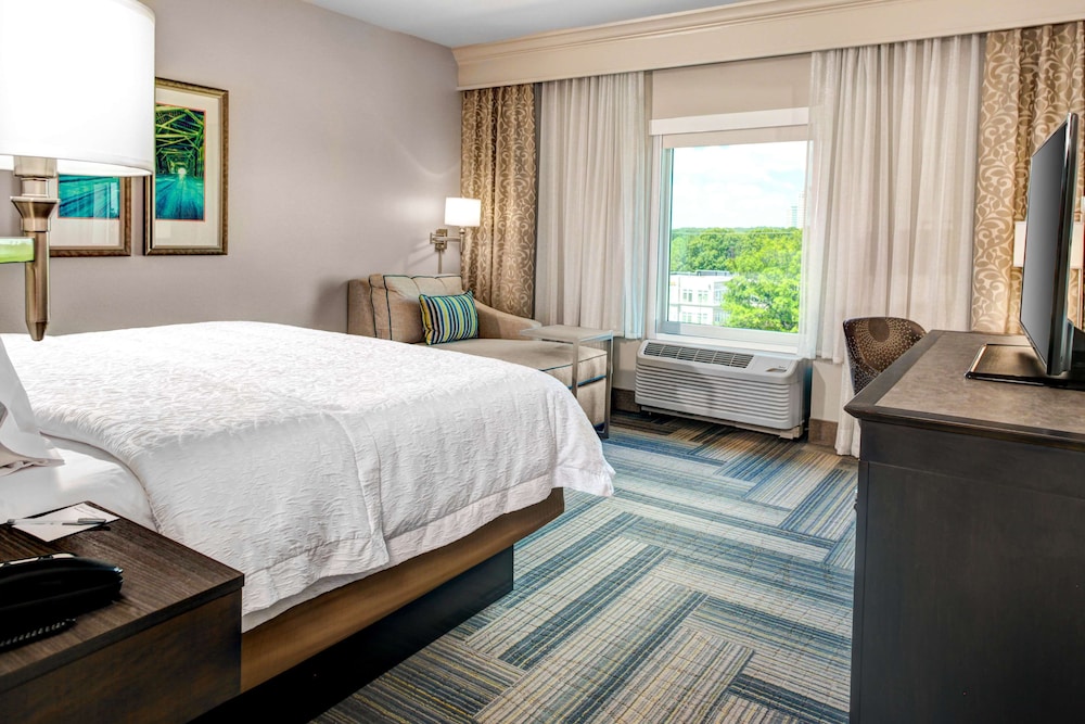 Hampton Inn & Suites By Hilton Atlanta Perimeter Dunwoody 15/41
