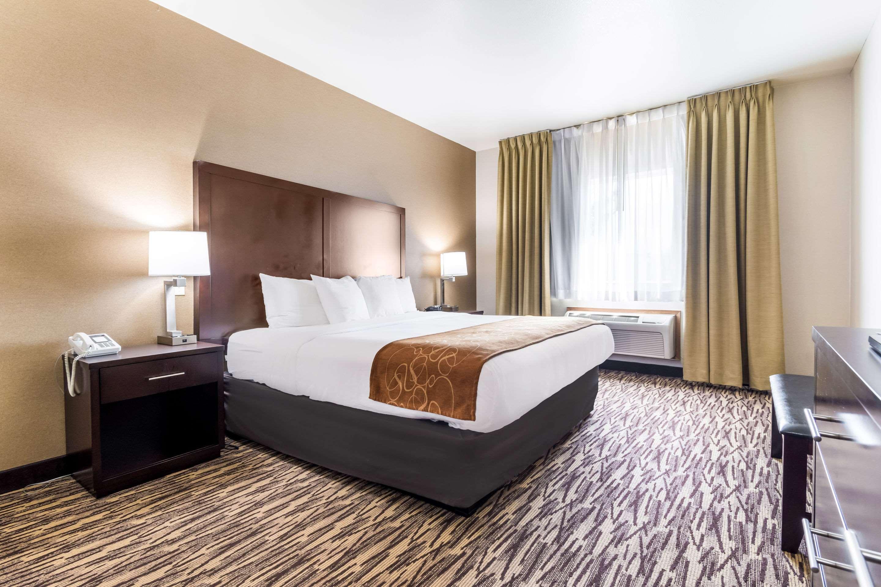 SUITE, QUEEN BED