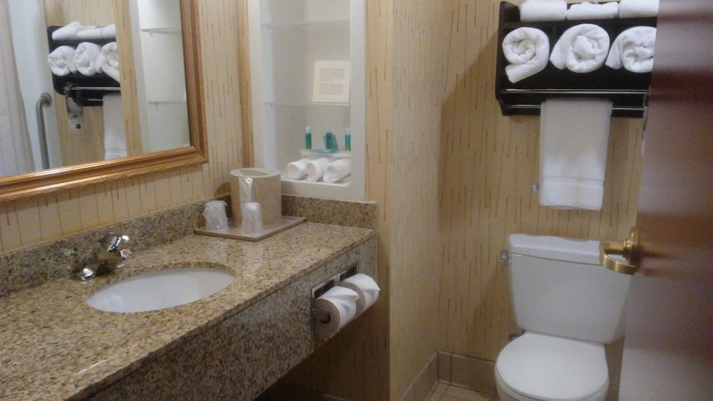 Holiday Inn Express Hotel And Suites Manchester Airport 17/72