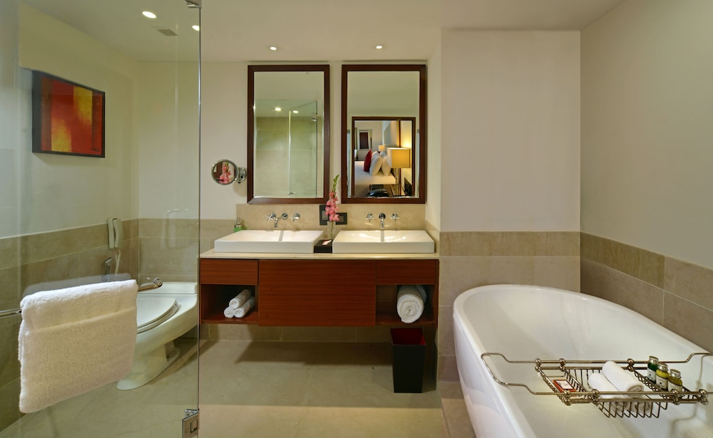 Park Plaza Chandigarh Zirakpur 50/50