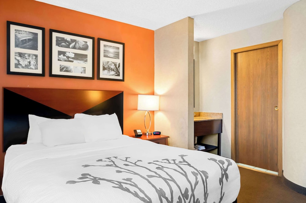 ROOM, KING BED