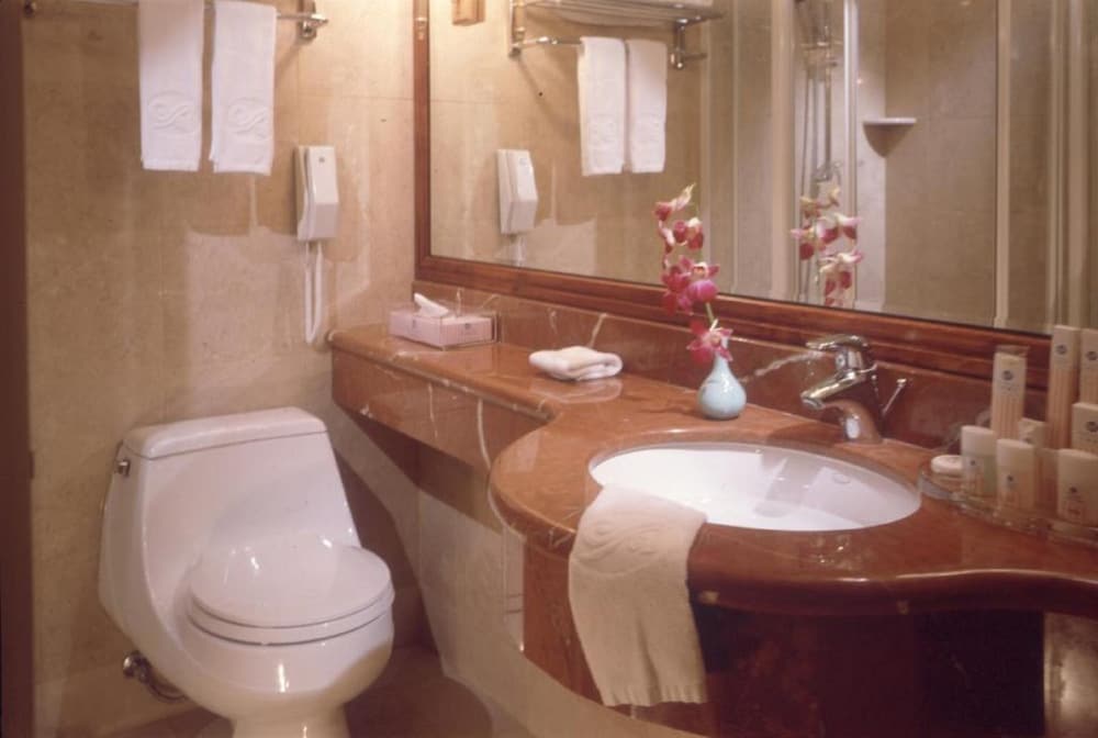 Grand Boss Hotel 20/46